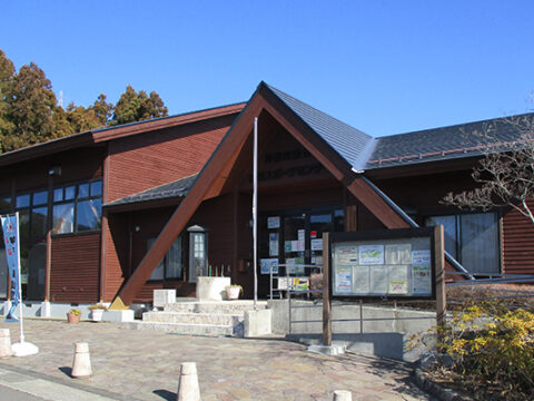 神奈川県立山岳スポーツセンター　クライミング体験
