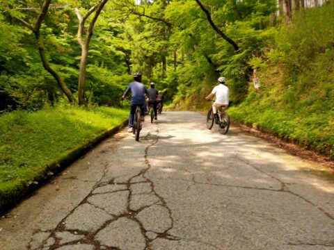 【満員御礼】プロと一緒にe-bike で秦野の林道を走ろう！MTB体験ツアー