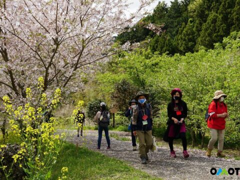 春満喫　蓑毛森林セラピー 🌸🍓～淡墨桜といちごを楽しむ春さんぽ～