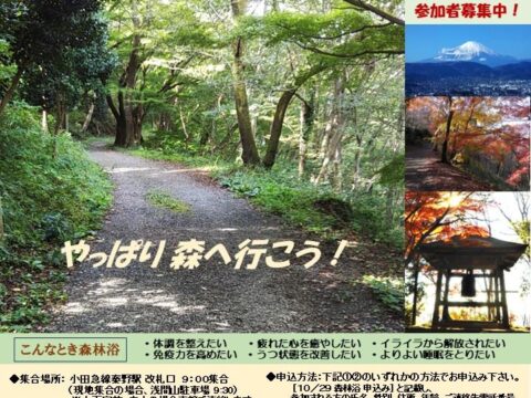 【2023年10月29日（日）開催】やっぱり森へ行こう！秋の弘法山公園森林セラピー