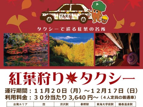 【11月20日(月)～12月17日(日)実施】秋をゆったり満喫　紅葉狩りタクシー