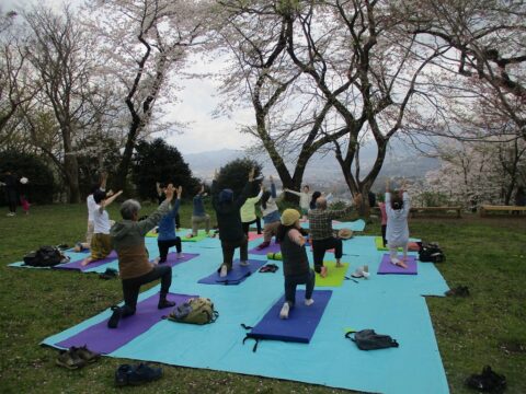【2024年3月20日(水)開催】森林セラピー『弘法山公園コース』弘法山の桜につつまれてボタニカルヒーリングのひととき