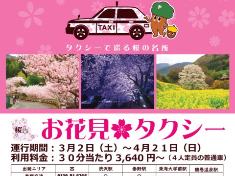 【2024年3月2日(土)～4月21日(日)実施】ゆったり、自由に、桜を巡る「お花見タクシー」